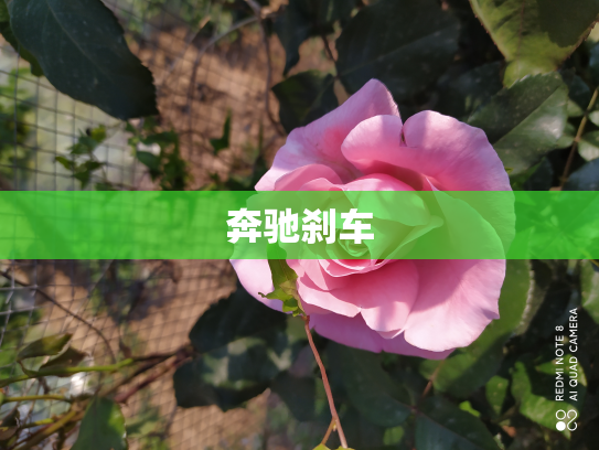 奔驰刹车