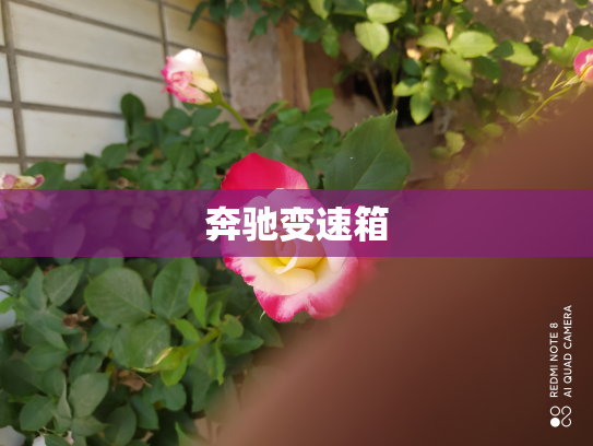 奔驰变速箱