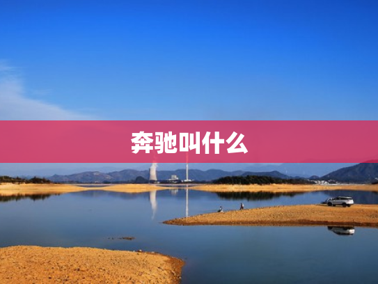 奔驰叫什么