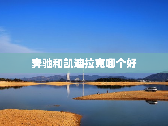 奔驰和凯迪拉克哪个好
