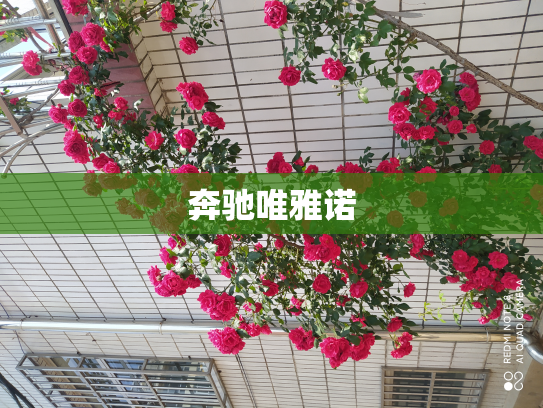奔驰唯雅诺