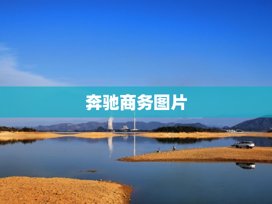 奔驰商务图片