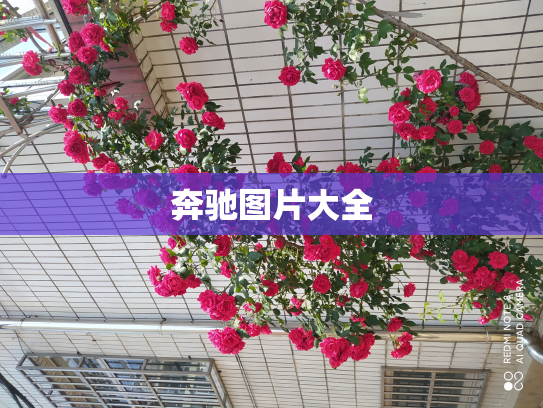 奔驰图片大全