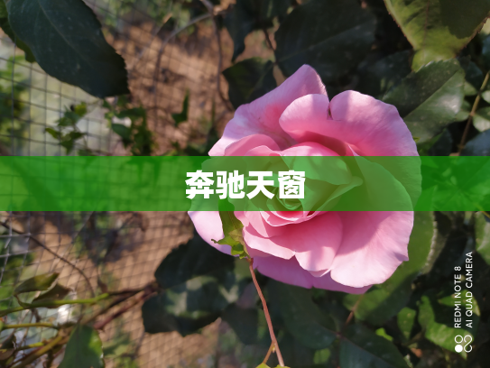 奔驰天窗