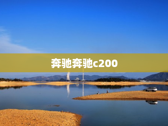 奔驰奔驰c200