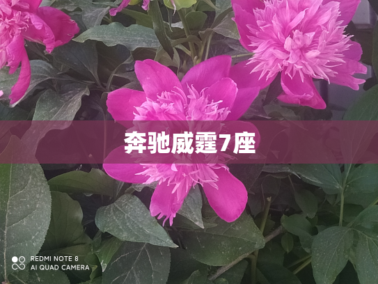 奔驰威霆7座