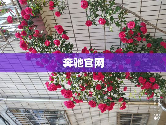 奔驰官网
