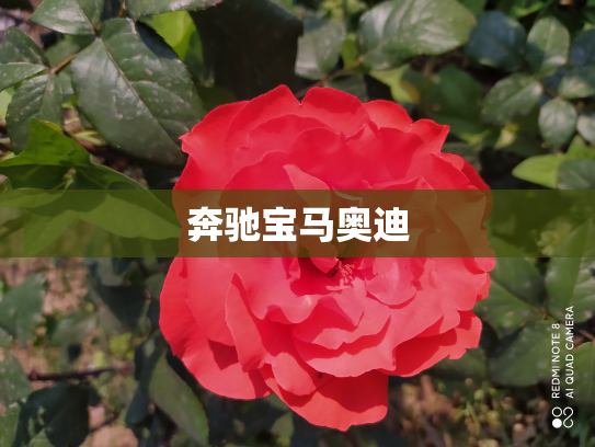 奔驰宝马奥迪