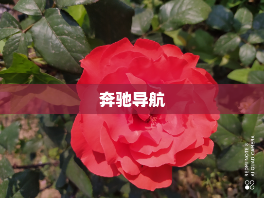 奔驰导航