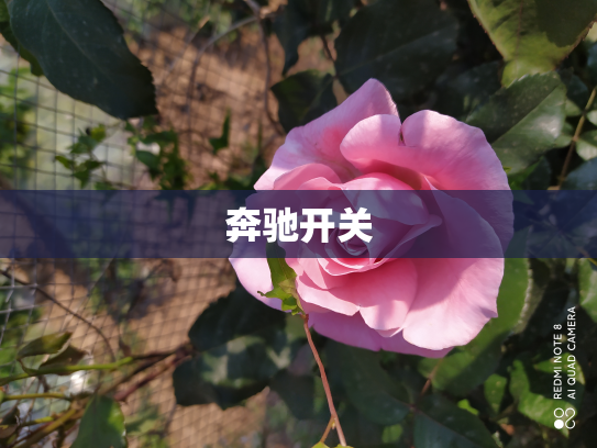 奔驰开关