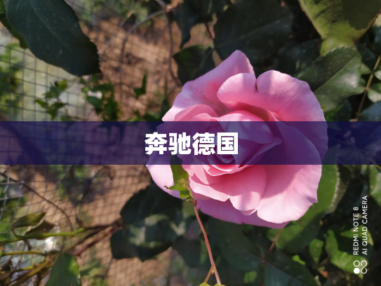 奔驰德国