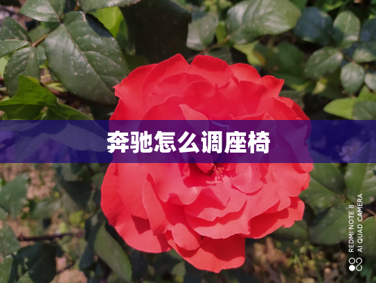 奔驰怎么调座椅