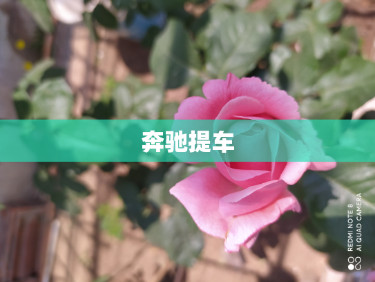 奔驰提车