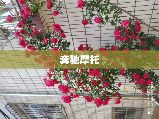 奔驰摩托