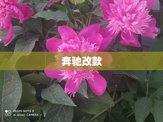 奔驰改款