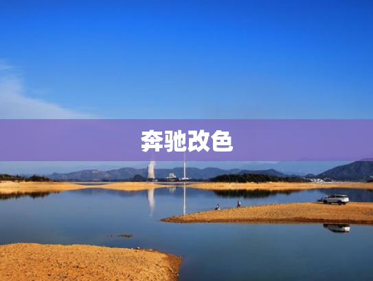 奔驰改色