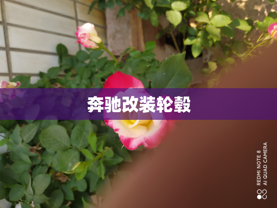奔驰改装轮毂
