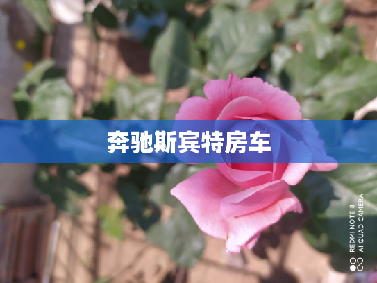 奔驰斯宾特房车