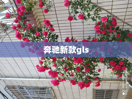 奔驰新款gls