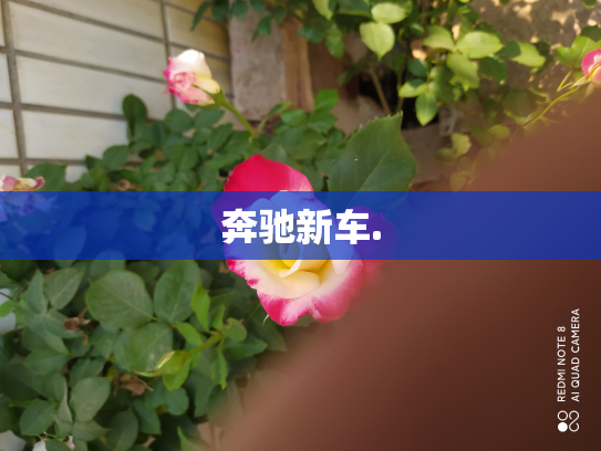 奔驰新车.