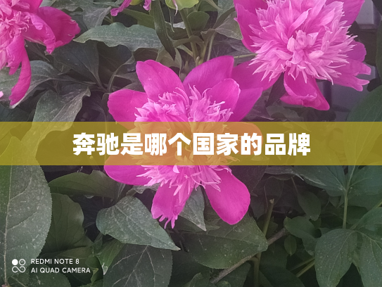 奔驰是哪个国家的品牌
