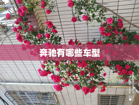 奔驰有哪些车型