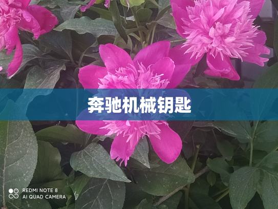 奔驰机械钥匙