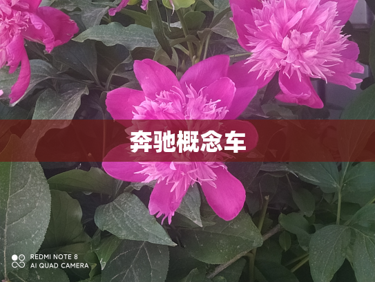 奔驰概念车