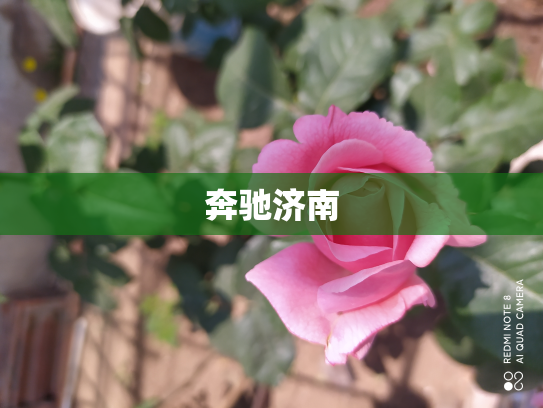 奔驰济南