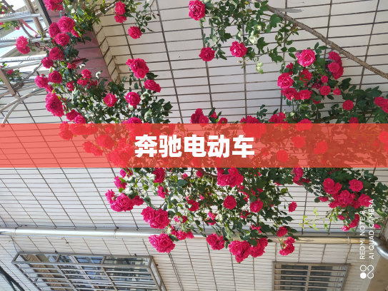 奔驰电动车