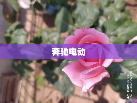奔驰电动