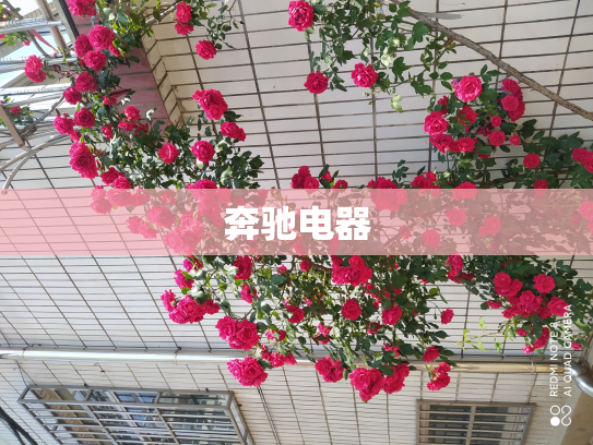 奔驰电器