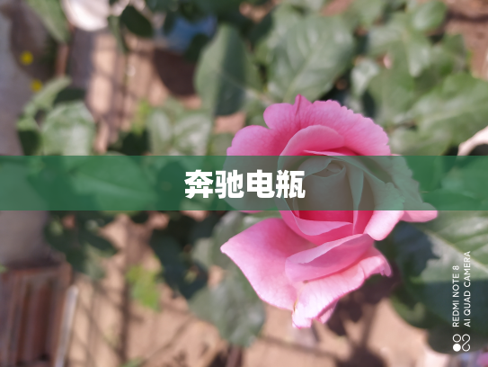 奔驰电瓶