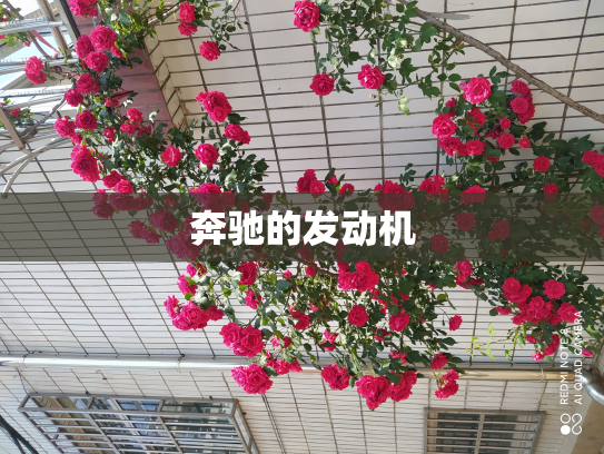 奔驰的发动机