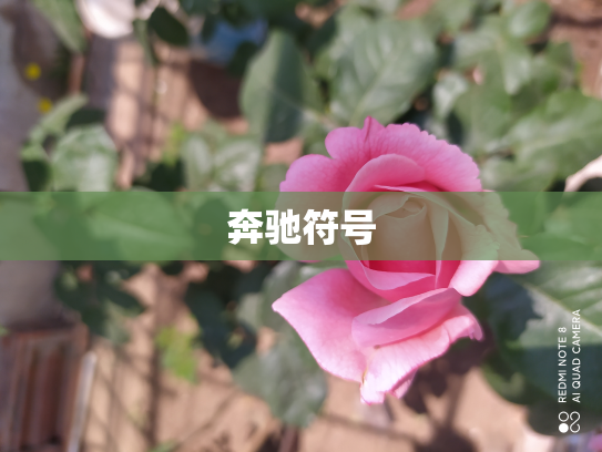 奔驰符号