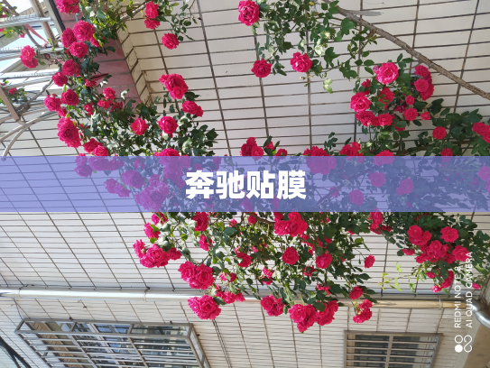 奔驰贴膜