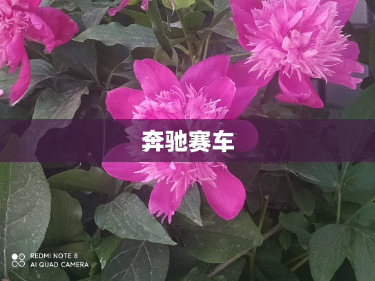 奔驰赛车