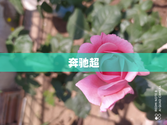 奔驰超