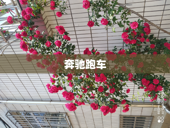 奔驰跑车