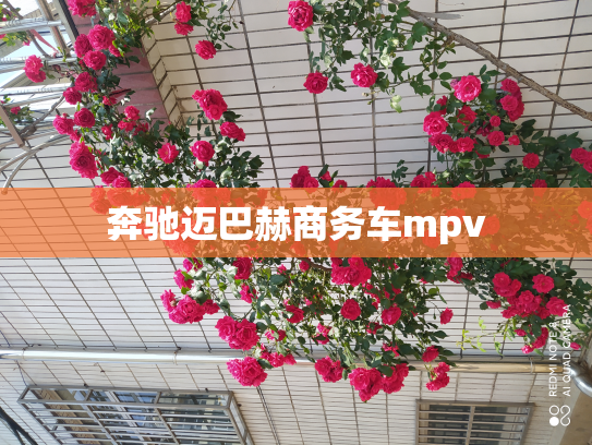 奔驰迈巴赫商务车mpv