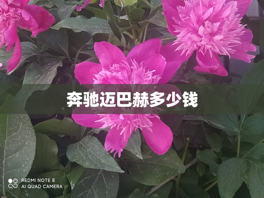 奔驰迈巴赫多少钱