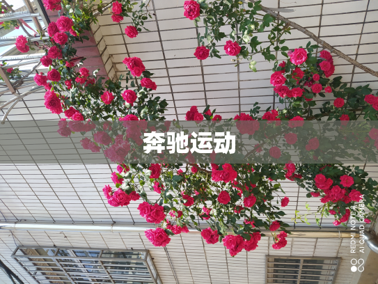奔驰运动