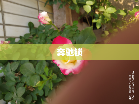 奔驰锁