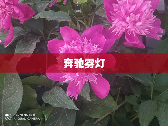 奔驰雾灯