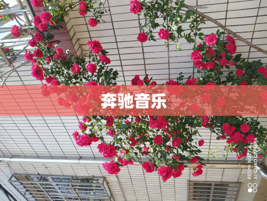 奔驰音乐