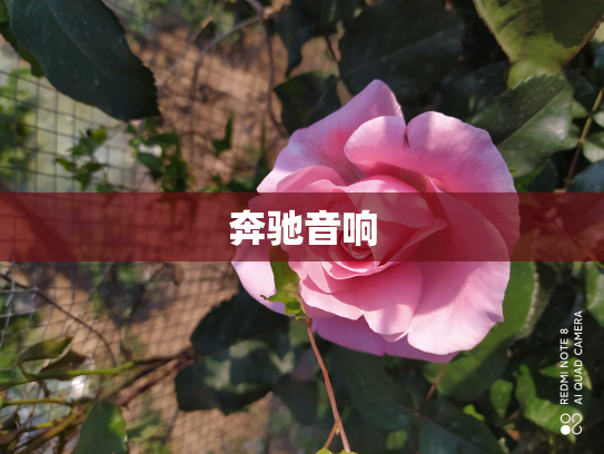 奔驰音响