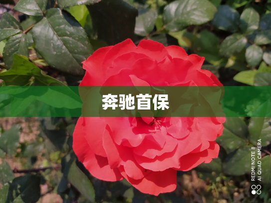 奔驰首保