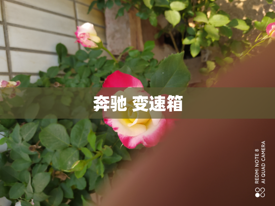 奔驰 变速箱