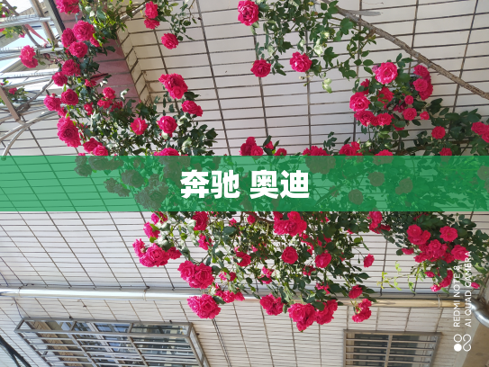 奔驰 奥迪