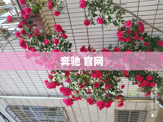 奔驰 官网